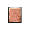Picture of BRONZER SUNSET STRIPTEASE